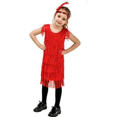 Latin Dance Vintage Fringe Dress