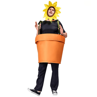 Funny Sunflower Potting Set