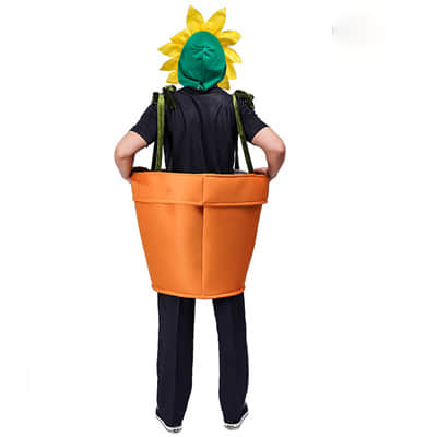 Funny Sunflower Potting Set