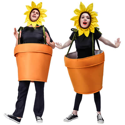 Funny Sunflower Potting Set