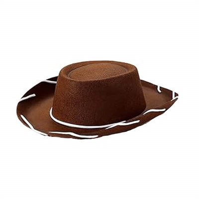 Cowboy Hat with Rope