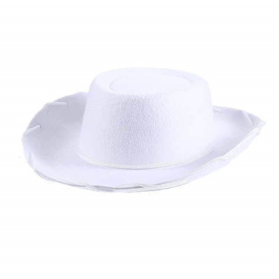 Cowboy Hat with Rope