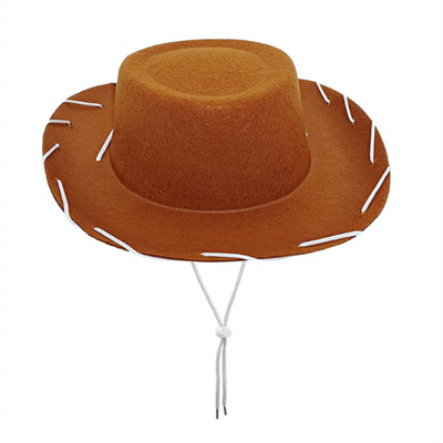 Cowboy Hat with Rope